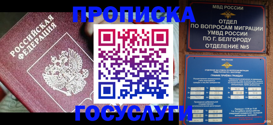 прописка гарантия в Мытищах